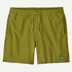 Online Men's Hydropeak Volley Shorts - 16" Shop Men’S|Boardshorts