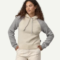 Hot Women's Recycled Wool-Blend Hooded Pullover Sweater Women Women’S|Sweaters